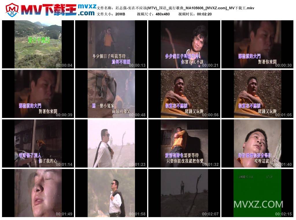 迟志强-实在不应该(MTV)_国语_流行歌曲_MA105606